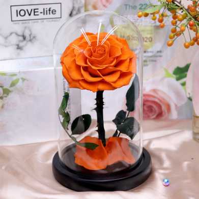 永生花礼盒玫瑰花小王子玻璃罩七夕情人节教师节圣诞节礼物