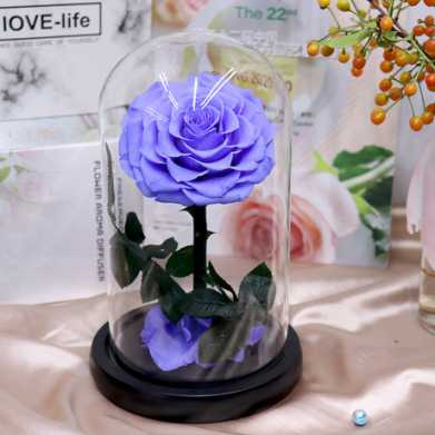 永生花礼盒玫瑰花小王子玻璃罩七夕情人节教师节圣诞节礼物