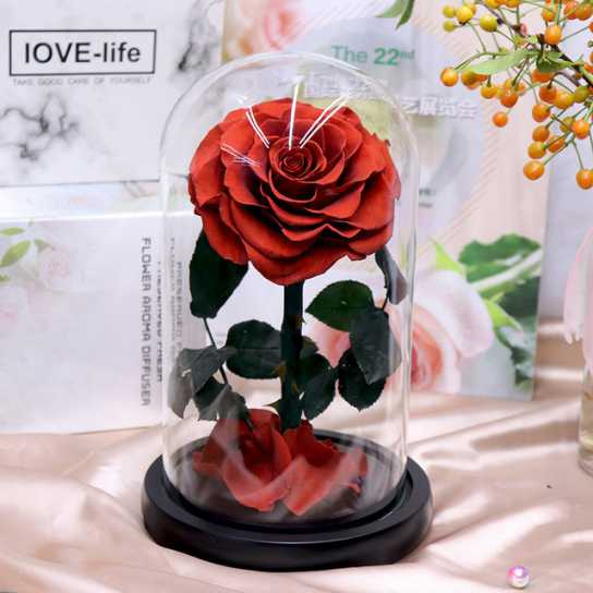 永生花礼盒玫瑰花小王子玻璃罩七夕情人节教师节圣诞节礼物