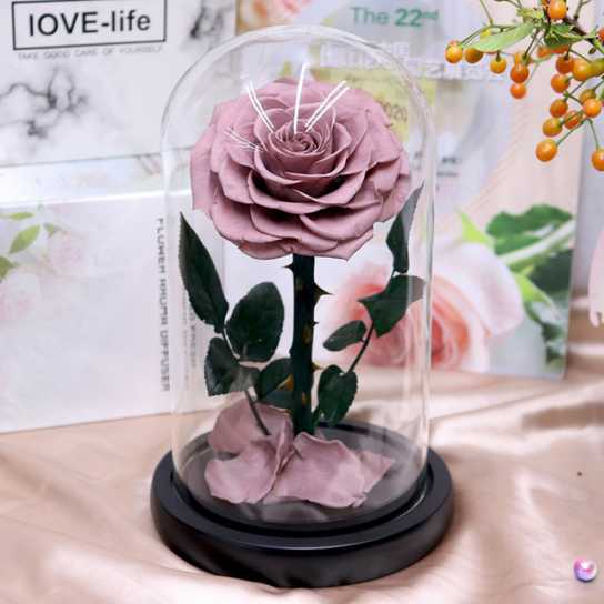 永生花礼盒玫瑰花小王子玻璃罩七夕情人节教师节圣诞节礼物