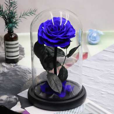 永生花礼盒玫瑰花小王子玻璃罩七夕情人节教师节圣诞节礼物