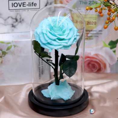 永生花礼盒玫瑰花小王子玻璃罩七夕情人节教师节圣诞节礼物