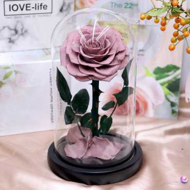 永生花礼盒玫瑰花小王子玻璃罩七夕情人节教师节圣诞节礼物